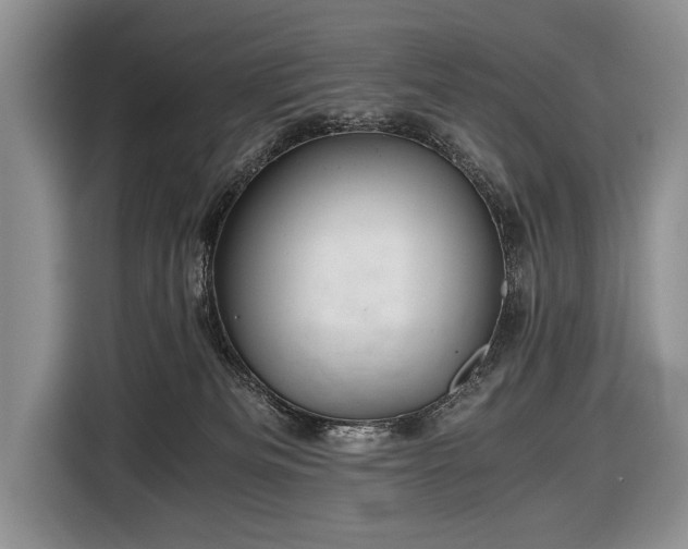 X0000116440133200912151248