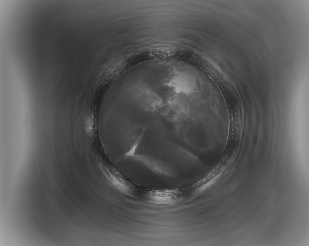X0000116440134200912151247
