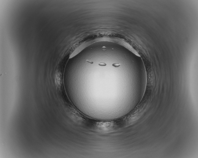 X0000116440135200912151247