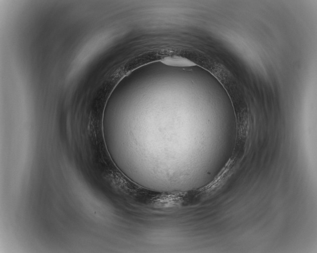 X0000116440140200912151247