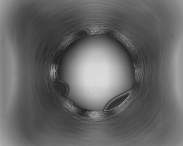 X0000116440142200912151247