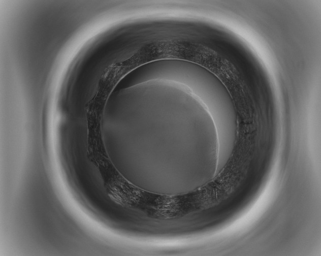 X0000116440143200912151247