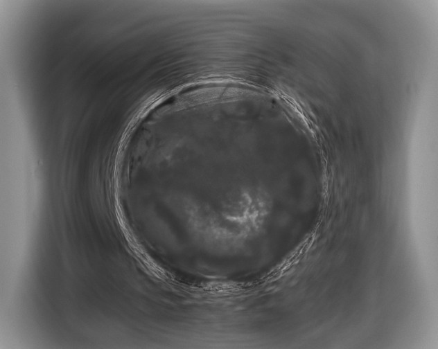 X0000116440145200912151247