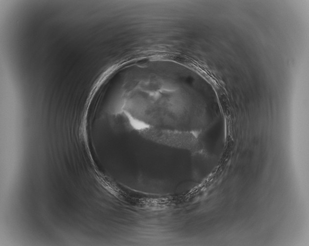 X0000116440147200912151247