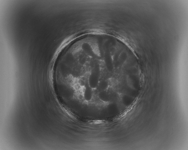 X0000116440151200912151247
