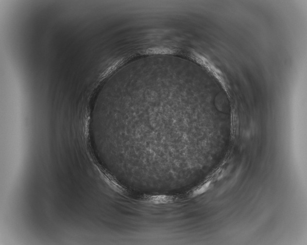 X0000116440153200912151247