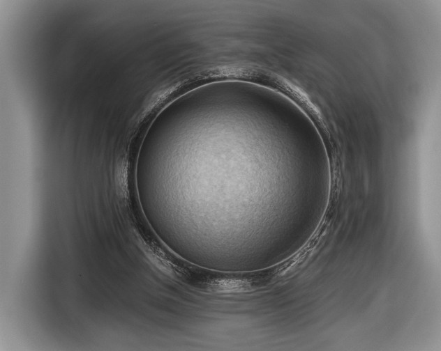X0000116440154200912151247