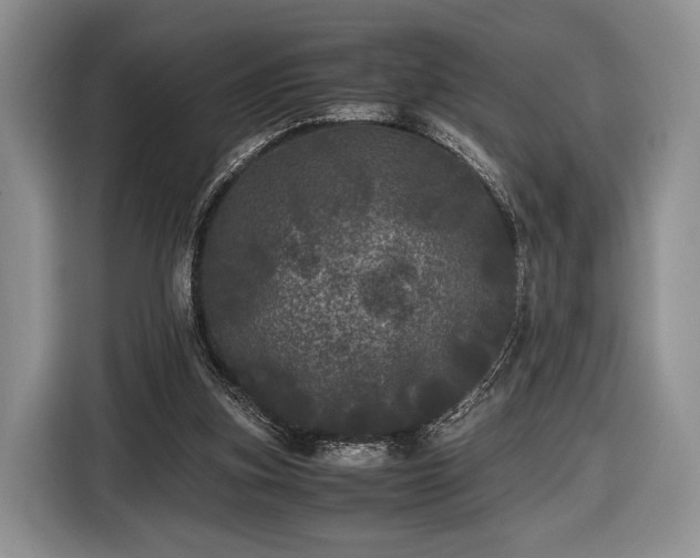 X0000116440155200912151247