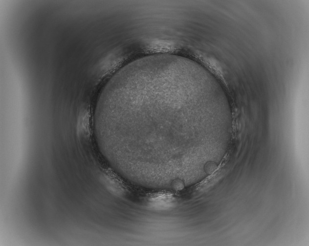 X0000116440162200912151247