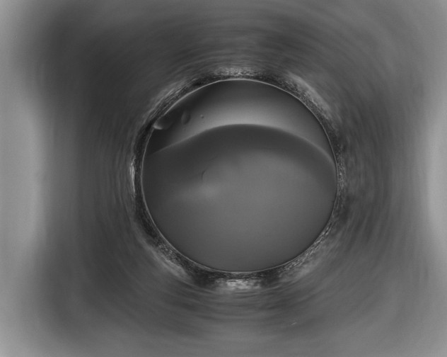 X0000116440163200912151247