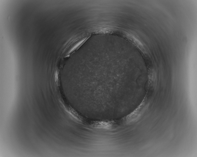 X0000116440166200912151247