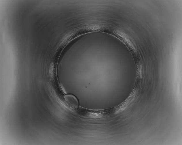 X0000116440167200912151247