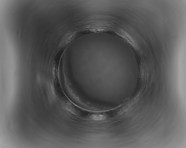 X0000116440169200912151247