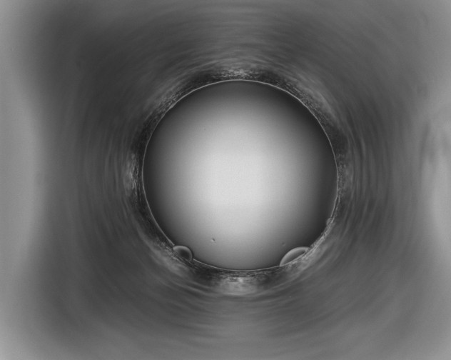 X0000116440174200912151247