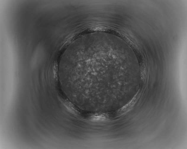X0000116440175200912151247
