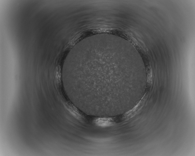 X0000116440179200912151247
