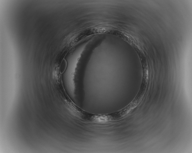 X0000116440181200912151247