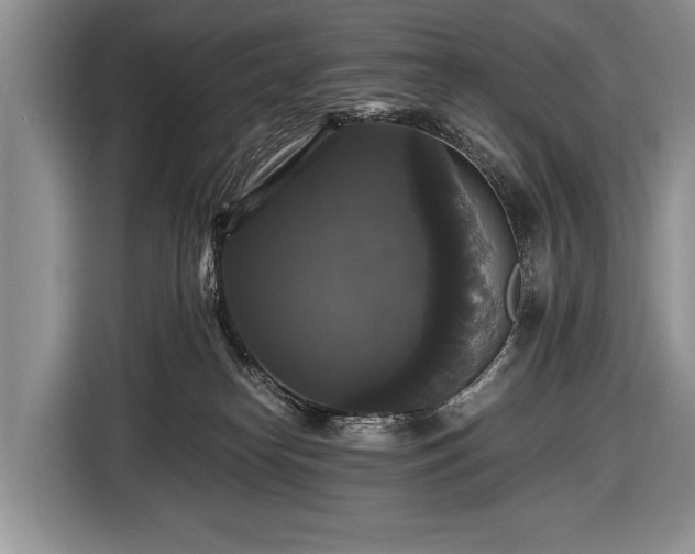 X0000116440182200912151247