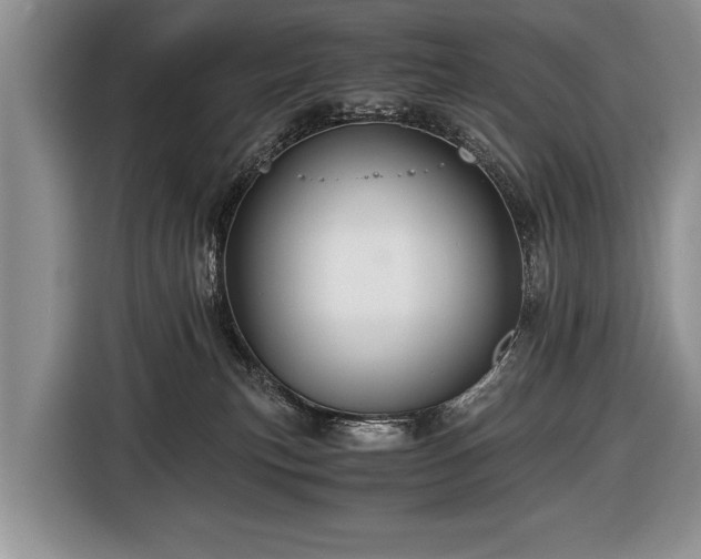 X0000116440183200912151247