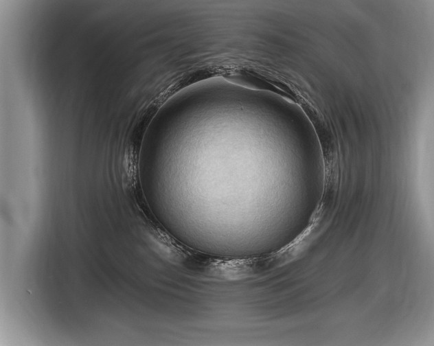 X0000116440186200912151247