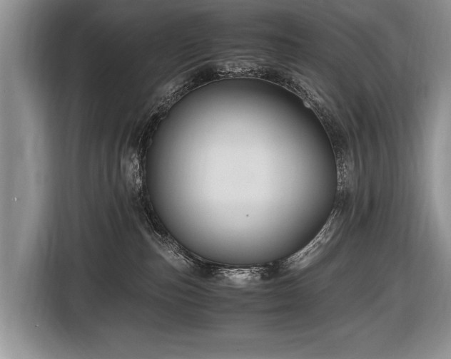 X0000116440187200912151247