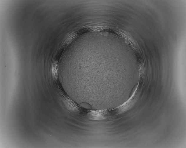X0000116440190200912151247