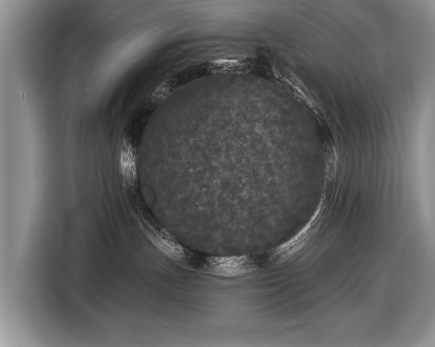 X0000116440191200912151247