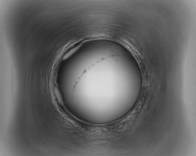 X0000116440193200912151247