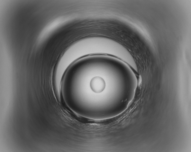 X0000116440195200912151247