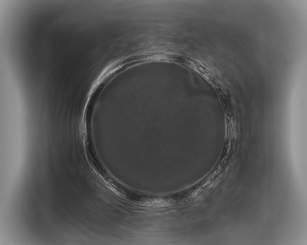 X0000116440198200912151247