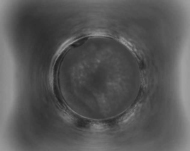 X0000116440199200912151247