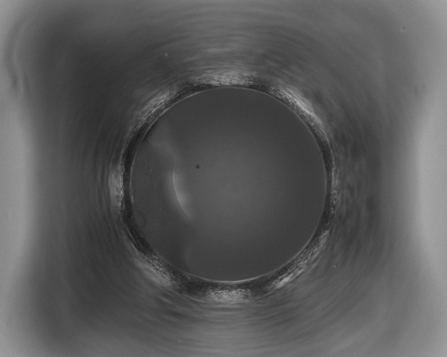 X0000116440202200912151247