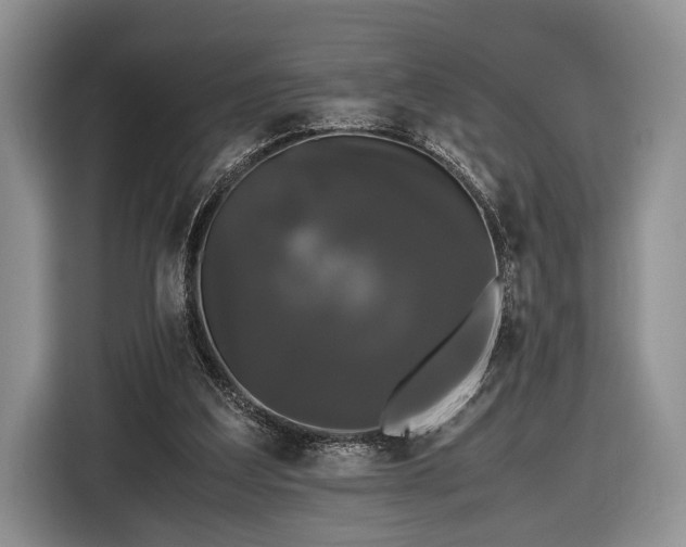 X0000116440203200912151247
