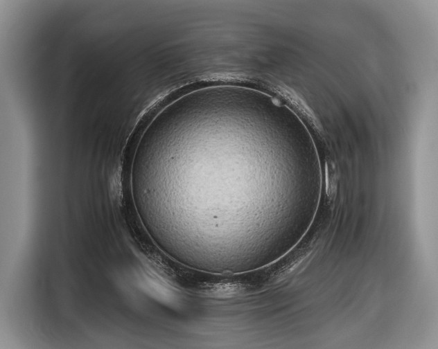 X0000116440204200912151247