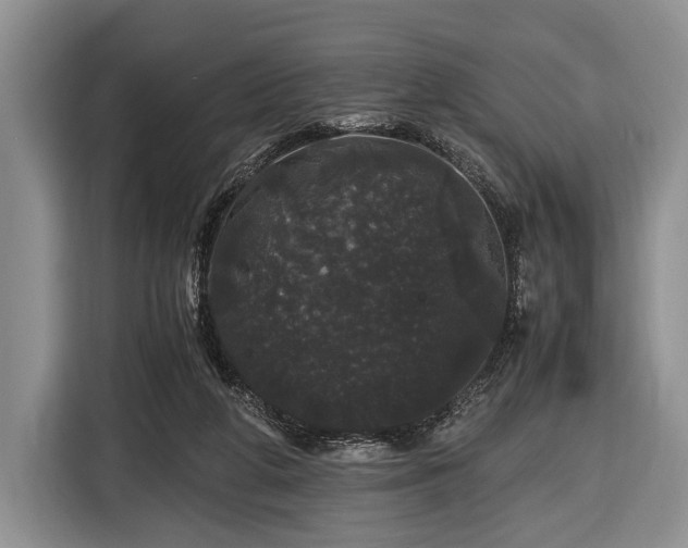 X0000116440210200912151247