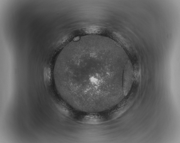 X0000116440211200912151247