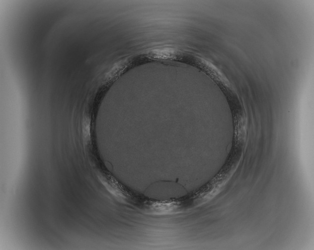 X0000116440213200912151246