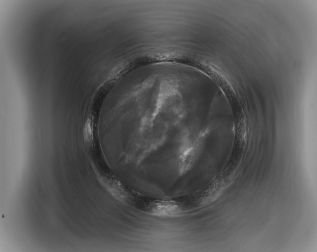 X0000116440214200912151246