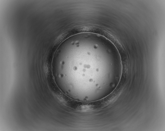X0000116440216200912151246