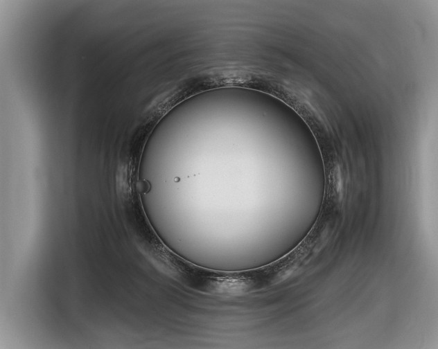 X0000116440218200912151246