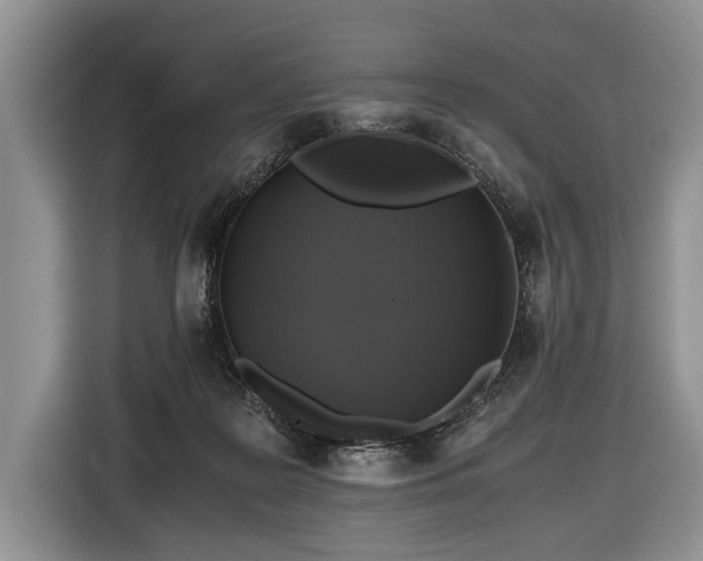 X0000116440219200912151246