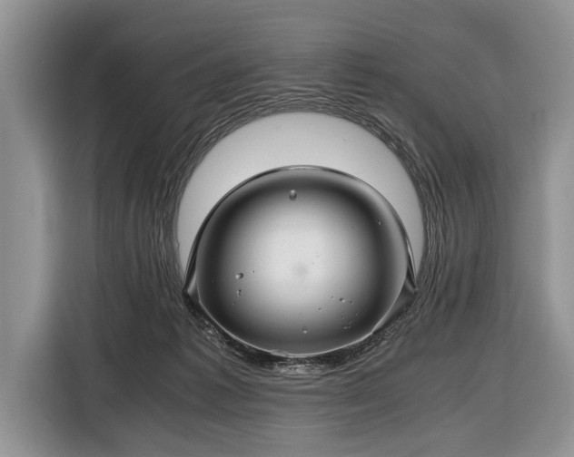 X0000116440221200912151246