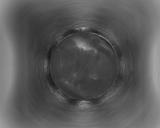 X0000116440222200912151246