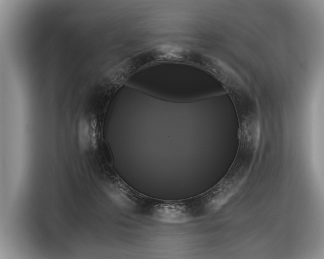 X0000116440223200912151246