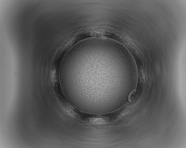 X0000116440224200912151246