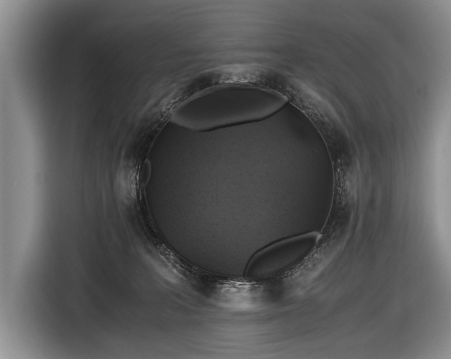X0000116440227200912151246