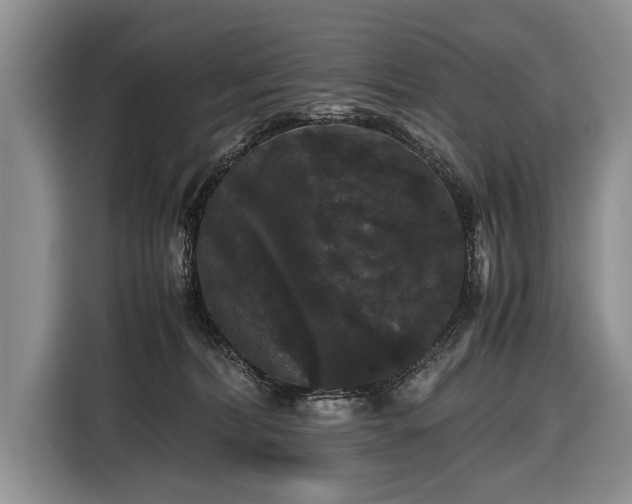 X0000116440228200912151246