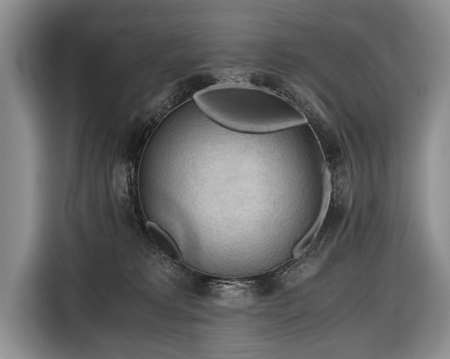 X0000116440229200912151246