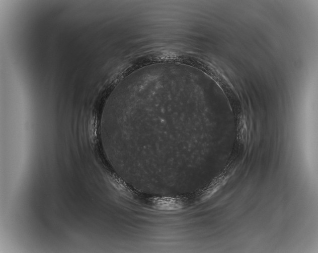 X0000116440230200912151246