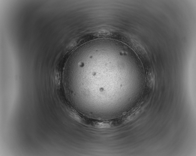 X0000116440232200912151246